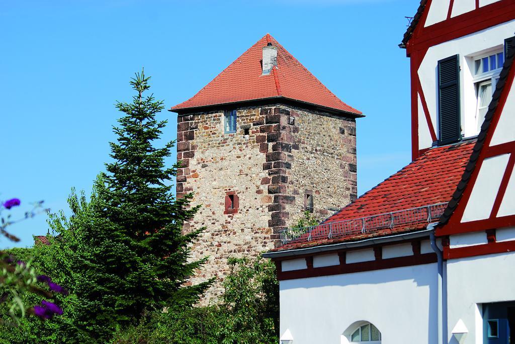 Landhotel Altes Wasserwerk Gbr Freinsheim Exteriér fotografie